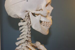 Los dientes te pueden dar pistas sobre si sufres osteoporosis. 